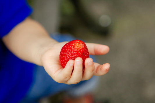 Outdoor Activities for Kids: Growing Curiosity Through Gardening